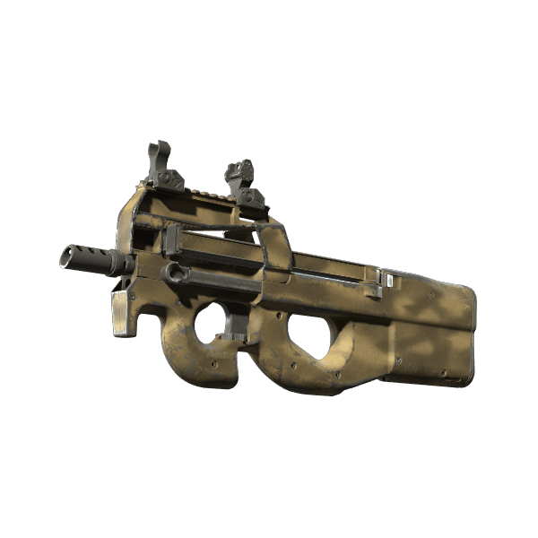 P90 | Sand Spray Counter-Strike 2 item